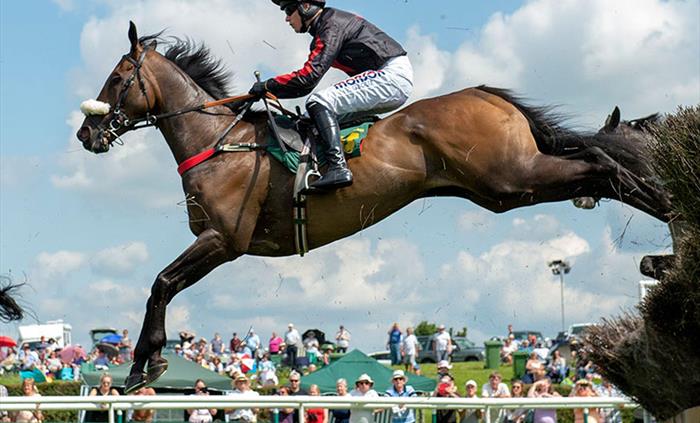 National Hunt Racing at Bangor-on-Dee